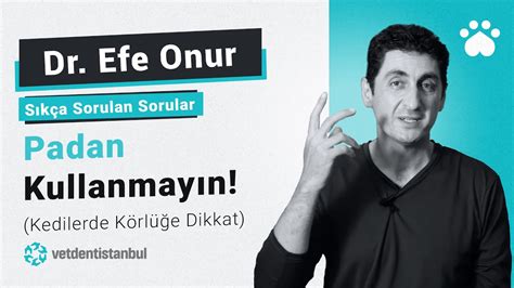 Ankaspin Sıkça Sorulan Sorular